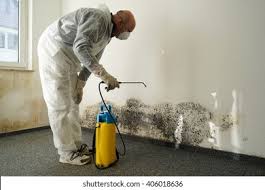 Environmental Consulting for Mold Prevention in Genesee, CO